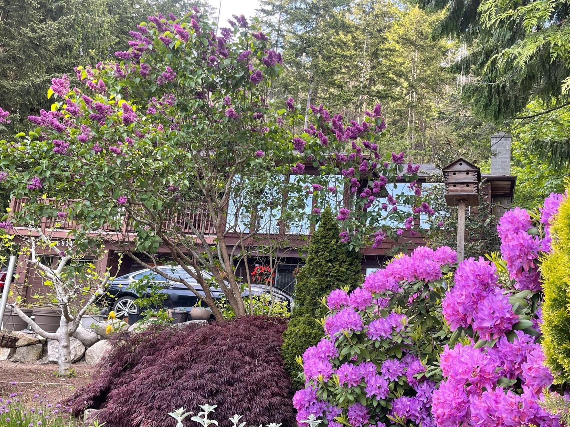 Villa Garden Bridge House Sechelt Esterno foto